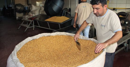 15 bin nüfuslu ilçe dünyanın leblebisini üretiyor