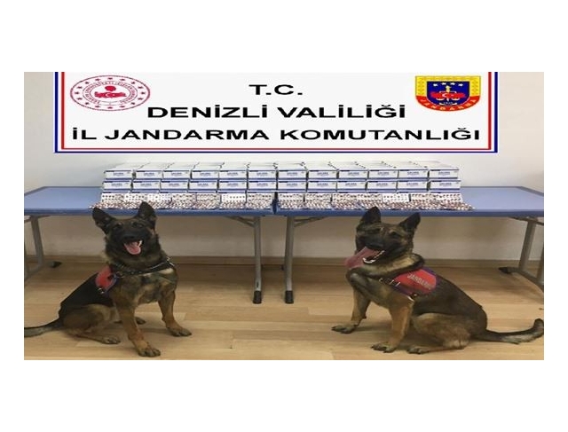 Jandarma 1 ayda 786 olayı aydınlattı