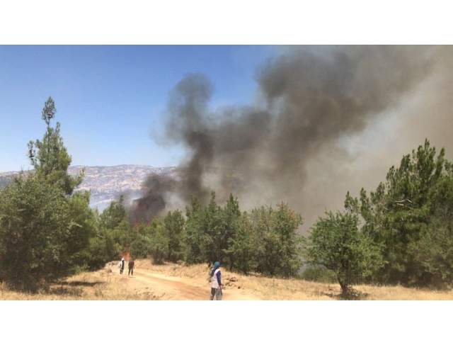 Denizli’de başlayan orman yangını için halk seferber oldu