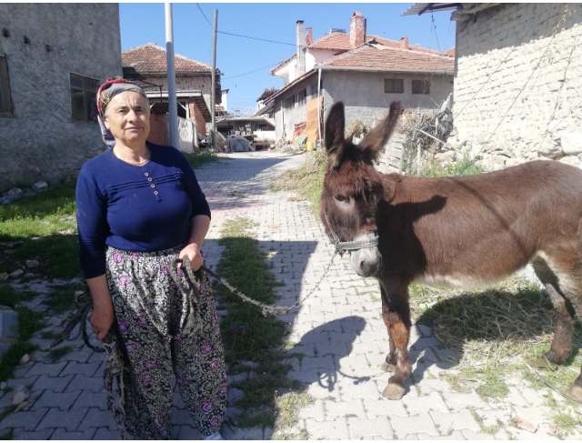 15 yılldır gözü gibi baktığı eşeğine aylar sonra kavuştu