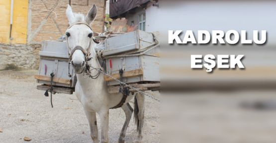 BELEDİYENİN KADROLU EŞEĞİ VAR