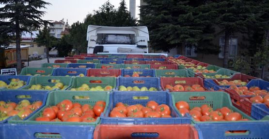 Çameli domatesi dünya pazarına açılıyor