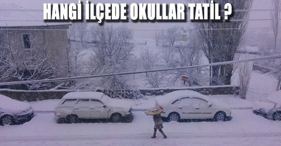 ÇAMELİ İLÇESİNDEKİ OKULLAR KAR YAĞIŞI NEDENİYLE TATİL EDİLDİ