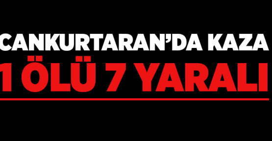 Cankurtaran’da Kaza: 1 Ölü 7 Yaralı