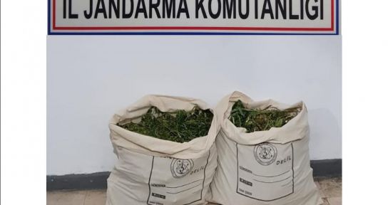 Denizli'de jandarmadan esrar operasyonu