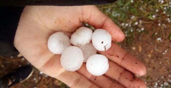 Denizli’de sağanak ve dolu tarlalara zarar verdi