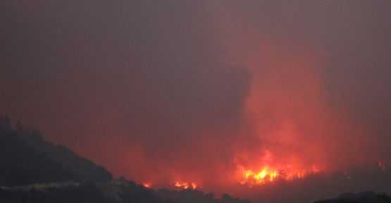 Denizli'deki orman yangını devam ediyor