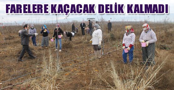 FARELERE KAÇACAK DELİK KALMADI