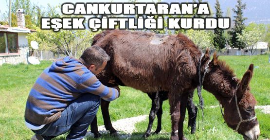 HASTA ANNESİ İÇİN EŞEK ÇİFTLİĞİ KURDU