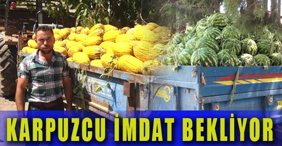 KARPUZ ÜRETİCİSİNDEN İMDAT SESLERİ YÜKSELİYOR