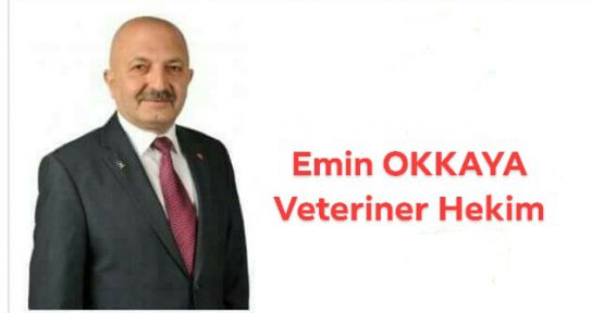 OKKAYA'DAN VEKİLLİK AÇIKLAMASI