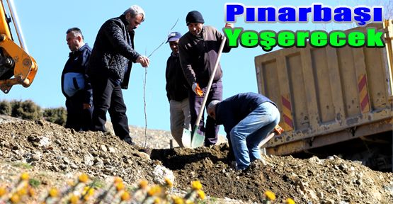 PINARBAŞI YEŞERECEK