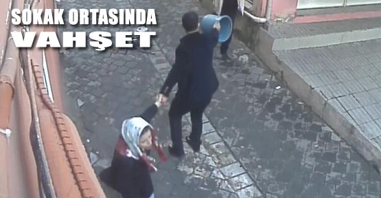 SOKAK ORTASINDA VAHŞET