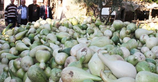 Tavas'ta Su Kabağı Geçim Kaynağı Oluyor