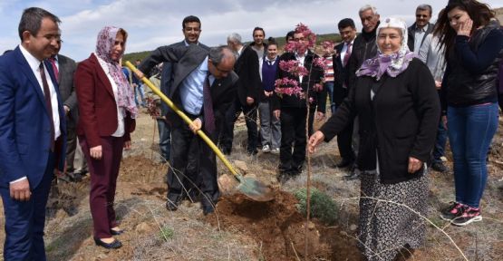 ÜNİVERSİTE ÖĞRENCİLERİ TOPRAĞA HAYAT VERDİ