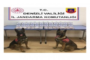 Jandarma 1 ayda 786 olayı aydınlattı