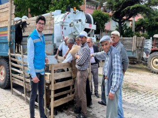 Şaphane kurbanlık hayvan pazarında denetim