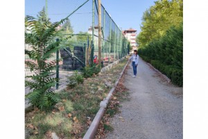 ACIPAYAM ATATÜRK STADYUMUNDA ÇALIŞMALARA HIZ VERİLDİ