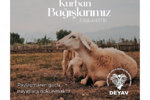 Denizli'de muhtaç, yaşlı ve çocuklara kurban bağışı çağrısı