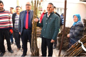 Çameli’nde ceviz üretimini artırmak için fidan desteği verilecek