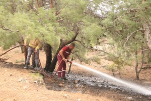 Denizli'de piknik ateşi yangına yol açtı