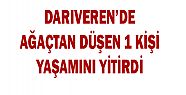 AĞAÇTAN DÜŞEN KİŞİ YAŞAMINI YİTİRDİ