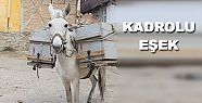 BELEDİYENİN KADROLU EŞEĞİ VAR