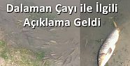 DALAMAN ÇAYI İLE İLGİLİ AÇIKLAMA GELDİ