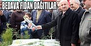 DENİZLİ’DE BEDAVA FİDAN İZDİHAMI