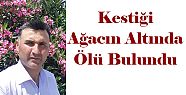 DENİZLİ'DE BİR KİŞİ KESTİĞİ AĞACIN ALTINDA ÖLÜ BULUNDU