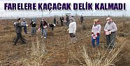 FARELERE KAÇACAK DELİK KALMADI