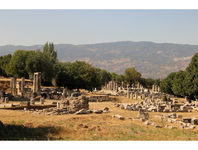 GEKA'nın desteklediği Hekate kutsal alanında sütunlar ortaya çıkıyor