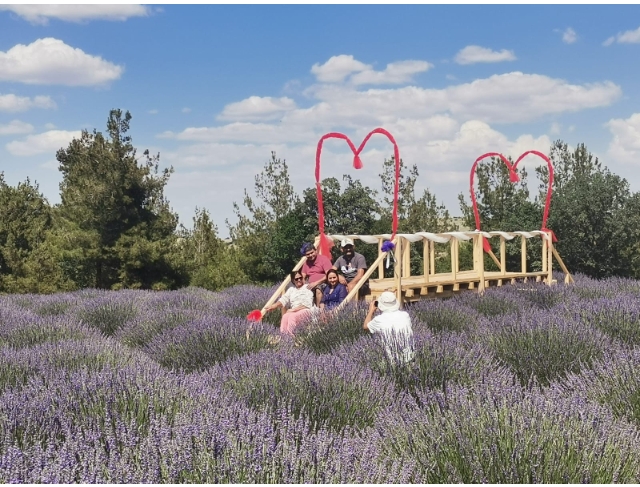 15 yıllık lavanta tarlasını turizme kazandırdı