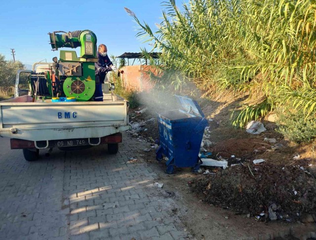 Nazilli Belediyesi, vektörle mücadeleye hız verdi