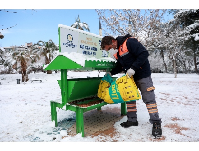 Büyükşehir can dostları da unutmadı