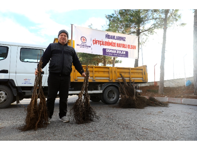 Büyükşehir’in ceviz fidanı seferberliği devam ediyor