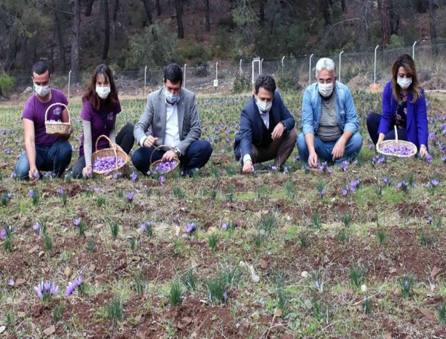 Endemik türlerden Muğla ekonomisine 62 milyon TL katkı