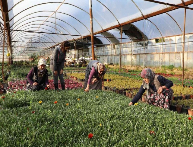 Muğla’da kadınlar üreterek güçleniyor