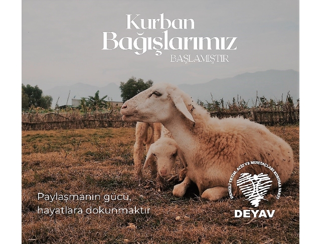 Denizli'de muhtaç, yaşlı ve çocuklara kurban bağışı çağrısı