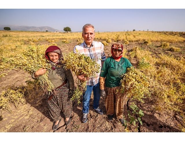 BAŞKAN ZOLAN İLE HASAT BEREKETİ