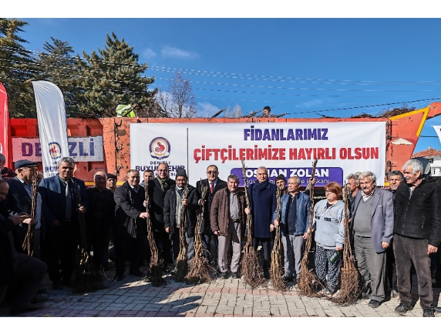 Cevizin merkezi Denizli olacak