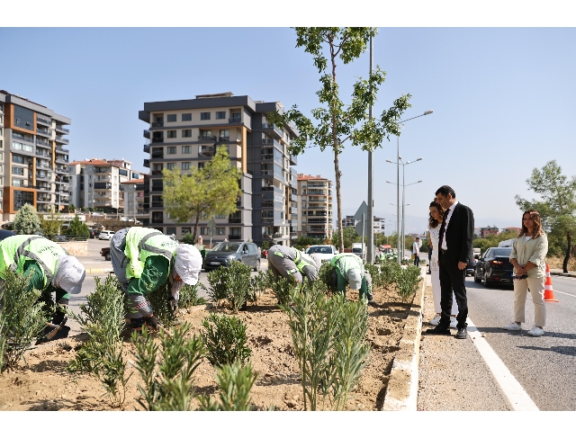 Büyükşehir, iklim değişikliği ile mücadele ediyor