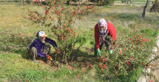 ACIPAYAM BELEDİYESİNDEN BAHAR TEMİZLİĞİ