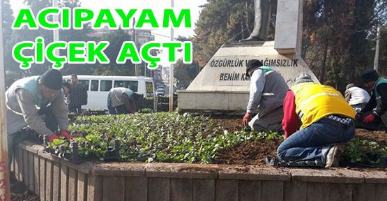 ACIPAYAM ÇİÇEK AÇTI