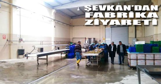 BAŞKAN ŞEVKAN FABRİKALARI ZİYARET ETTİ