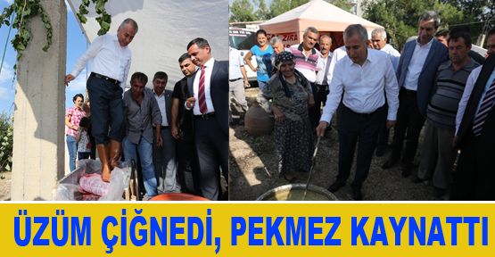 BAŞKAN ZOLAN ÜZÜM ÇİĞNEYİP, PEKMEZ KAYNATTI