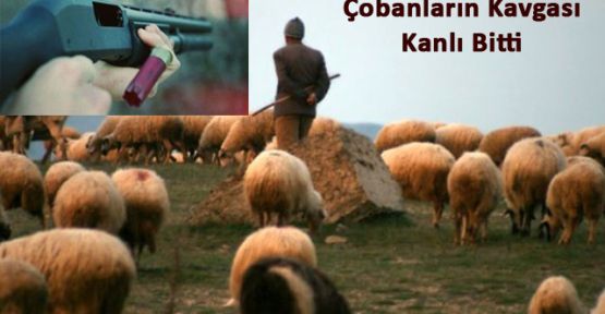 ÇOBANLARIN KAVGASI KANLI BİTTİ