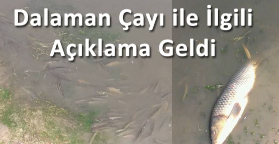 DALAMAN ÇAYI İLE İLGİLİ AÇIKLAMA GELDİ