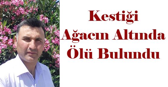 DENİZLİ'DE BİR KİŞİ KESTİĞİ AĞACIN ALTINDA ÖLÜ BULUNDU