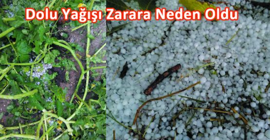 DOLU YAĞIŞI ZARARA NEDEN OLDU